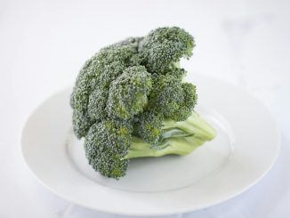 Close-up of a fresh broccoli floret on a white plate, showcasing its vibrant color.