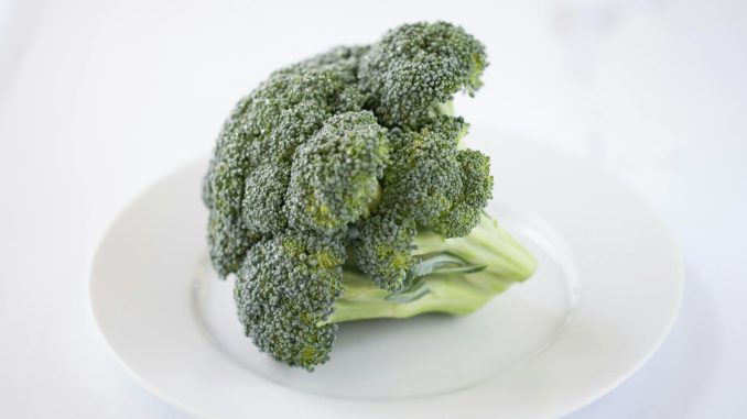 Close-up of a fresh broccoli floret on a white plate, showcasing its vibrant color.