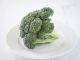 Close-up of a fresh broccoli floret on a white plate, showcasing its vibrant color.