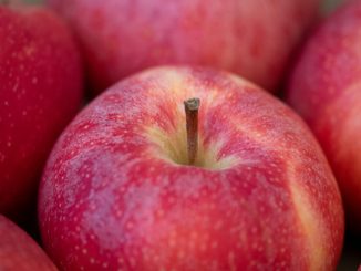 red apple fruit on red textile