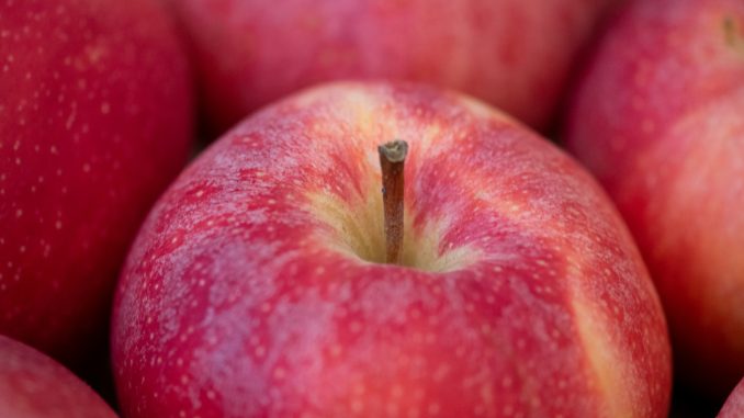 red apple fruit on red textile